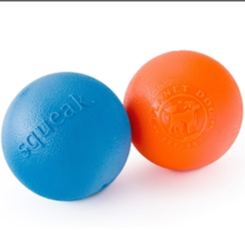 Planet Dog Squeak BallDog Toy