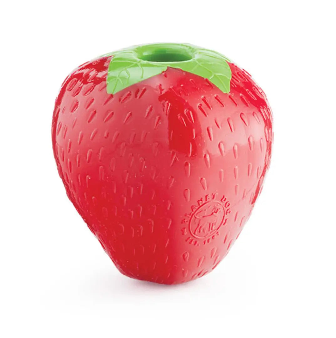 Orbee-Tuff® Strawbery Dog Toy Outward Hound
