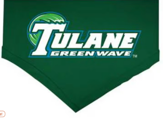 Tulane Bandana