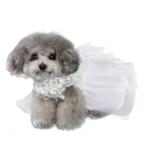 Aurora Party Dress pooch outfitters
