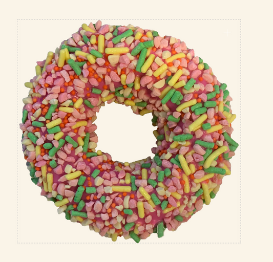 Gourmet Donut, SPRING/SUMMER Fruit Salad Crunch Donut Dog Treat