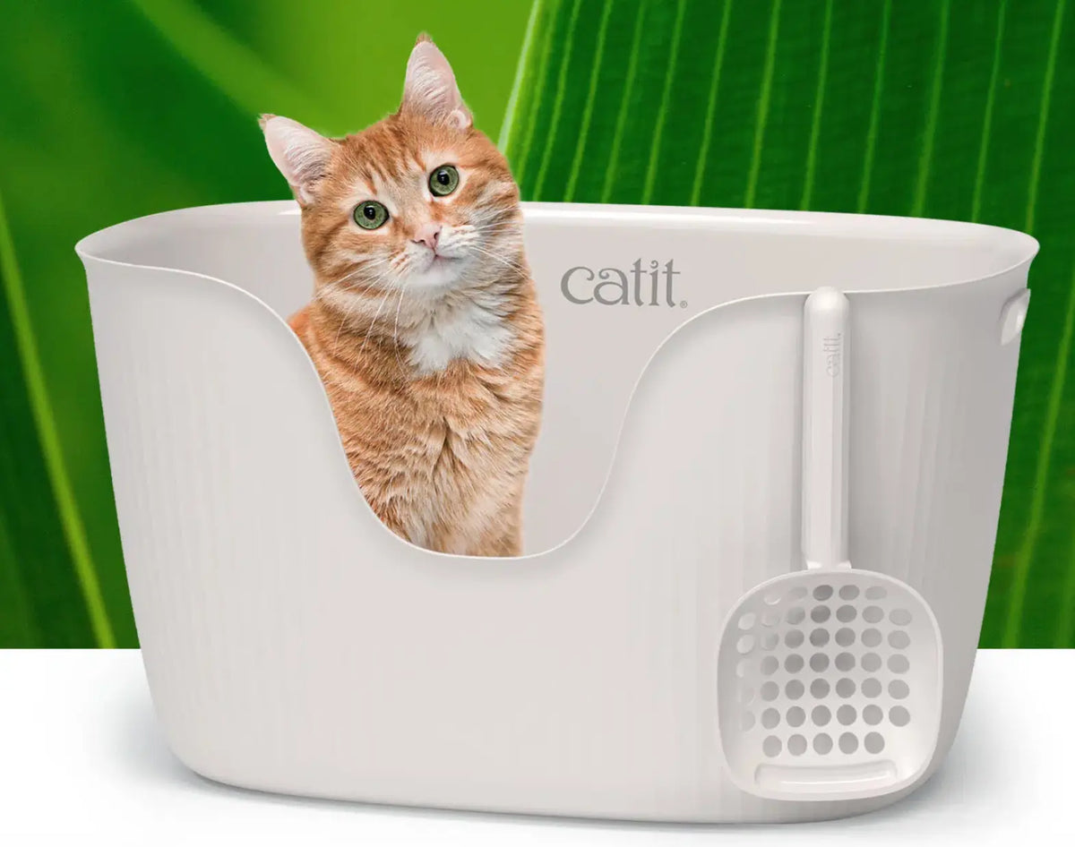 Catit LOO litter Box Phillips Pets