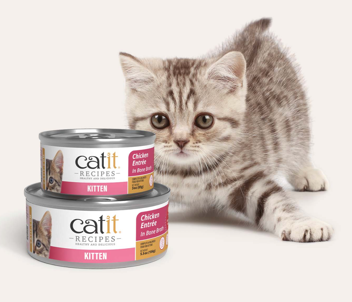 Catit KITTEN – Chicken Entrée