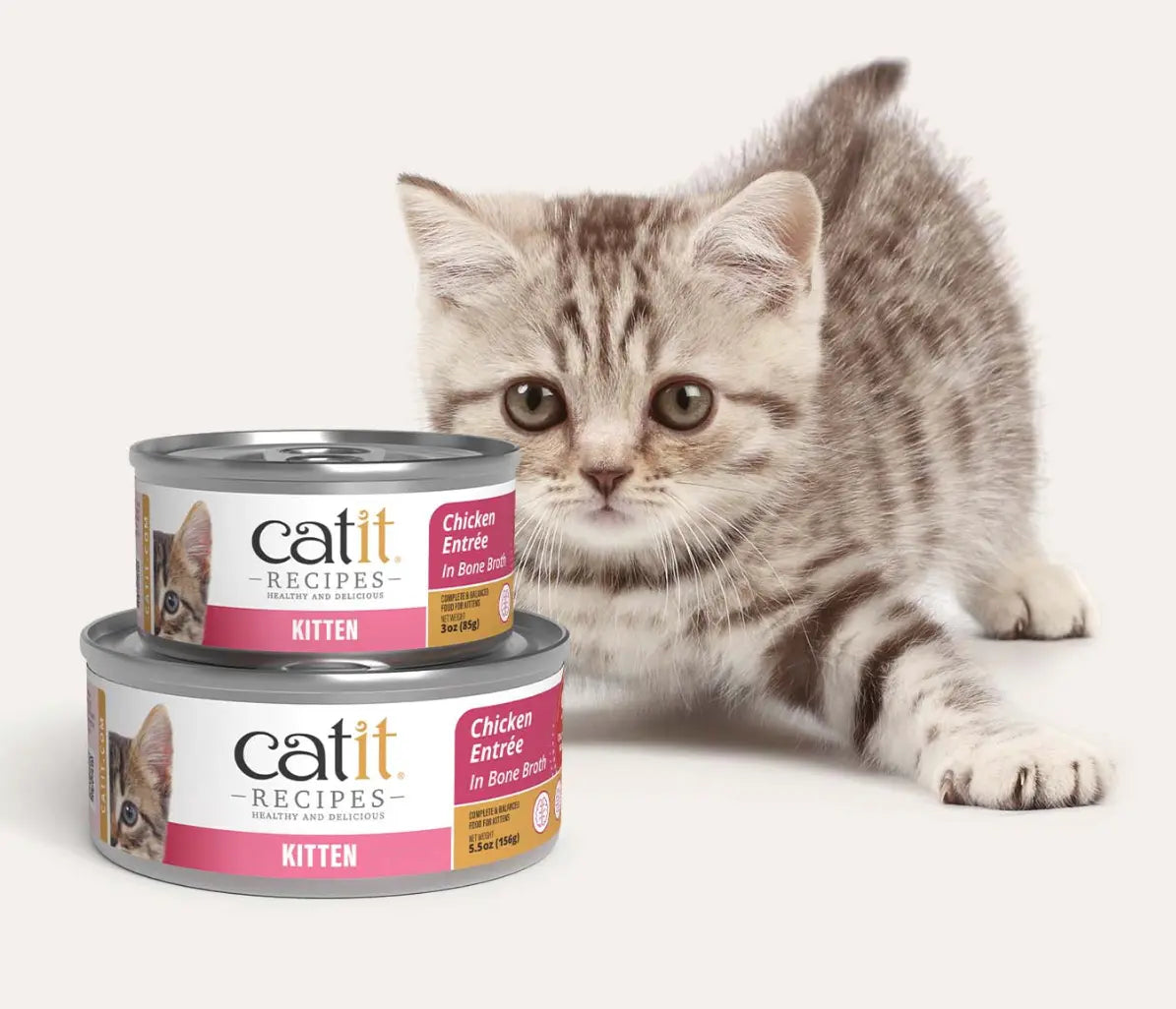 Catit KITTEN – Chicken Entrée Phillips Pets