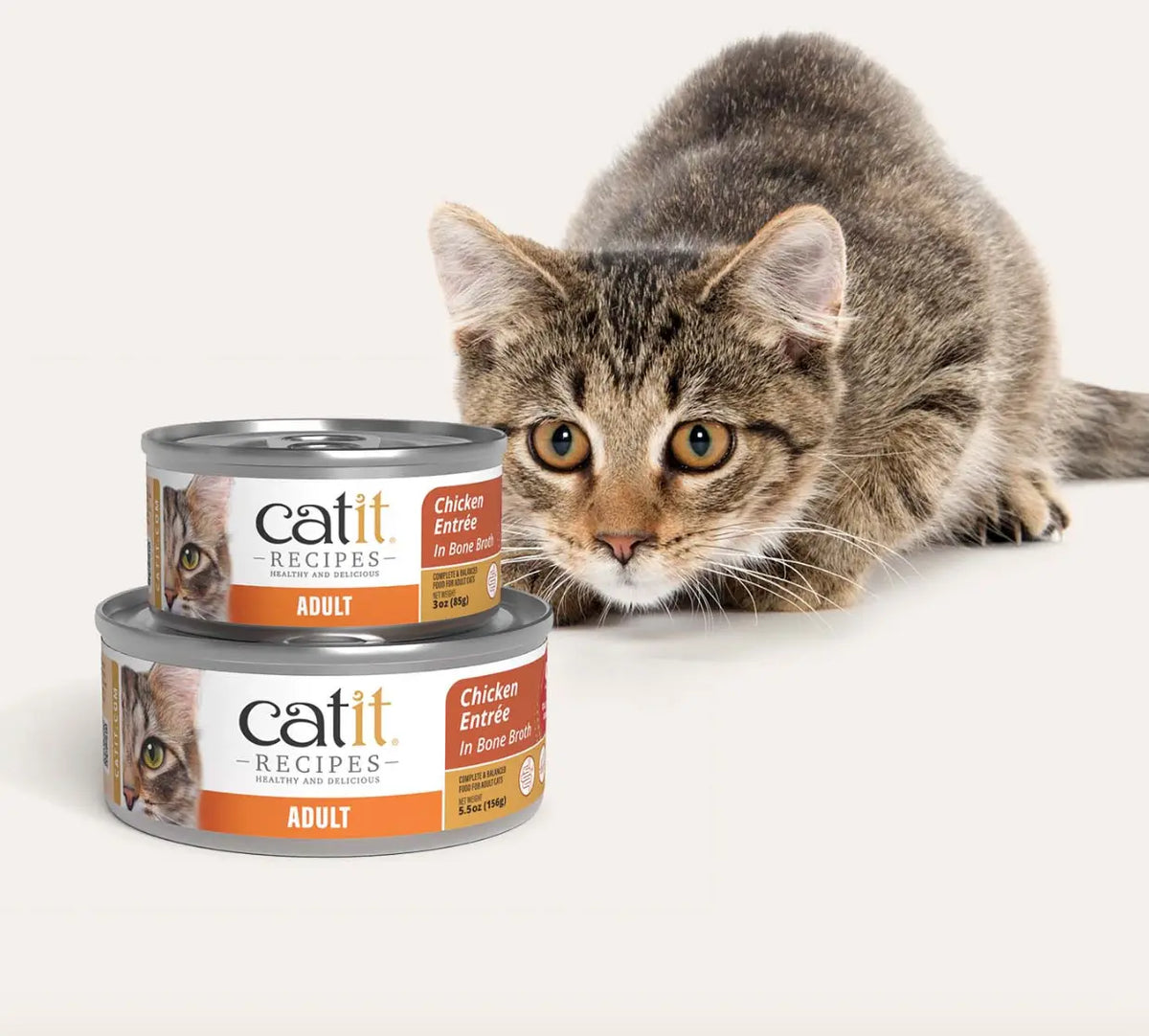 Catit ADULT – Chicken Entrée Phillips Pets