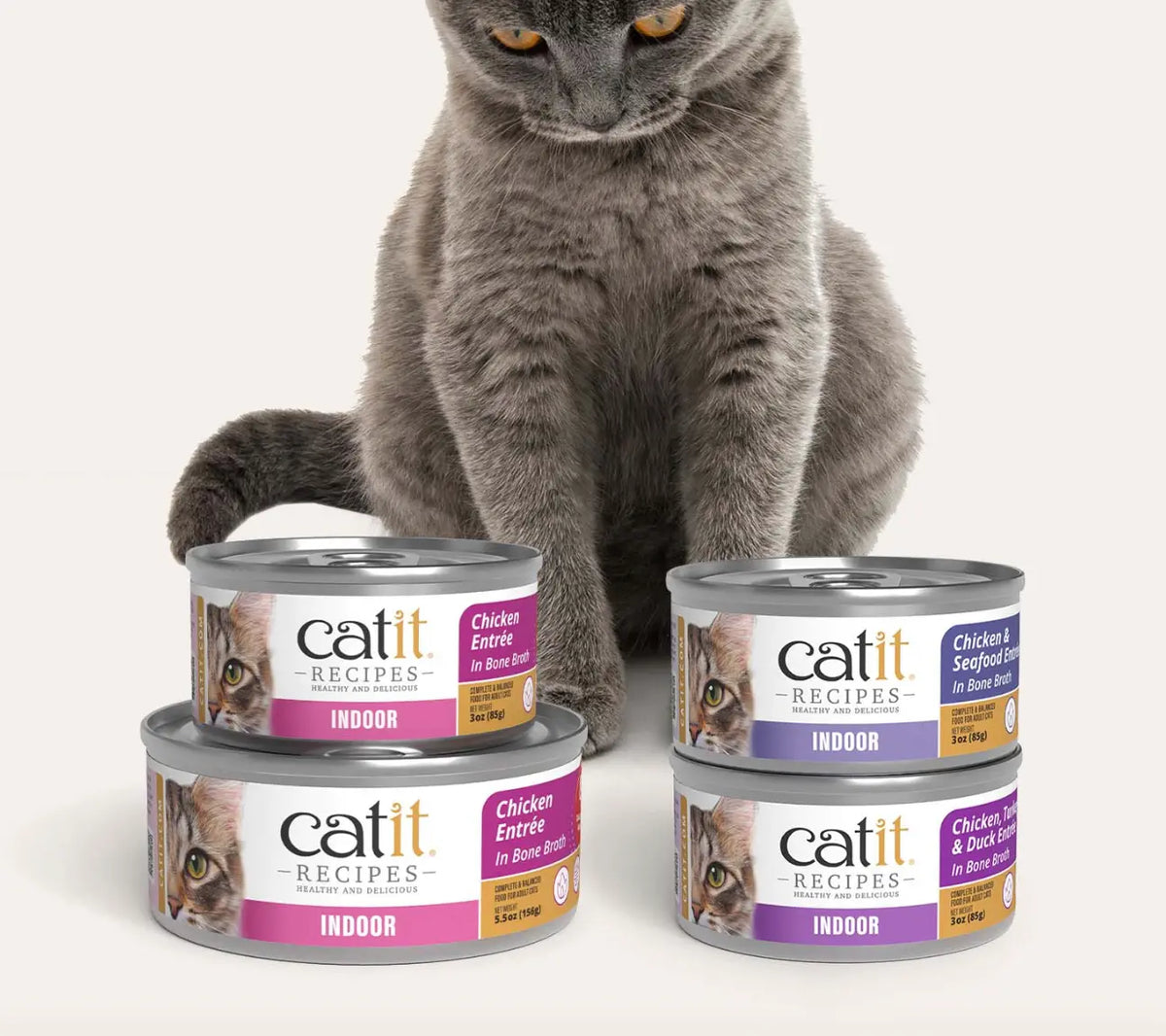 Catit Tasty chicken and seafood delight for indoor cats Phillips Pets
