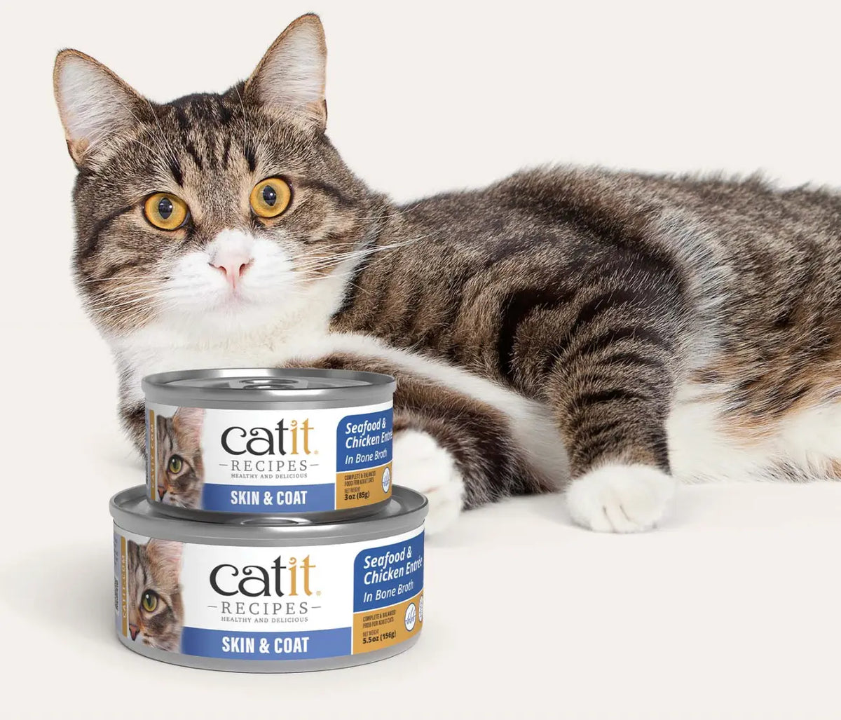 CatitSKIN & COAT – Seafood & Chicken Entrée Phillips Pets