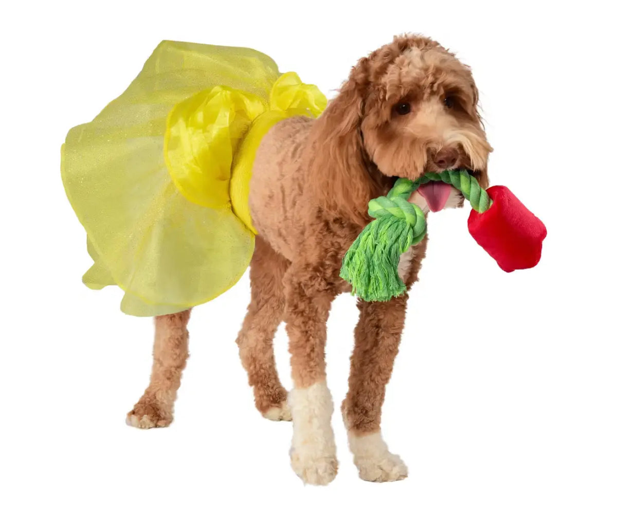 Beauty And the Beast Belle Pet Toy Bundle Rubies Costume Co