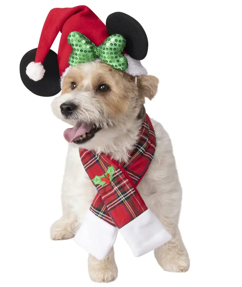 Disney Mickey & Friends Minnie Mouse Christmas Pet Accessory Set Rubies Costume Co