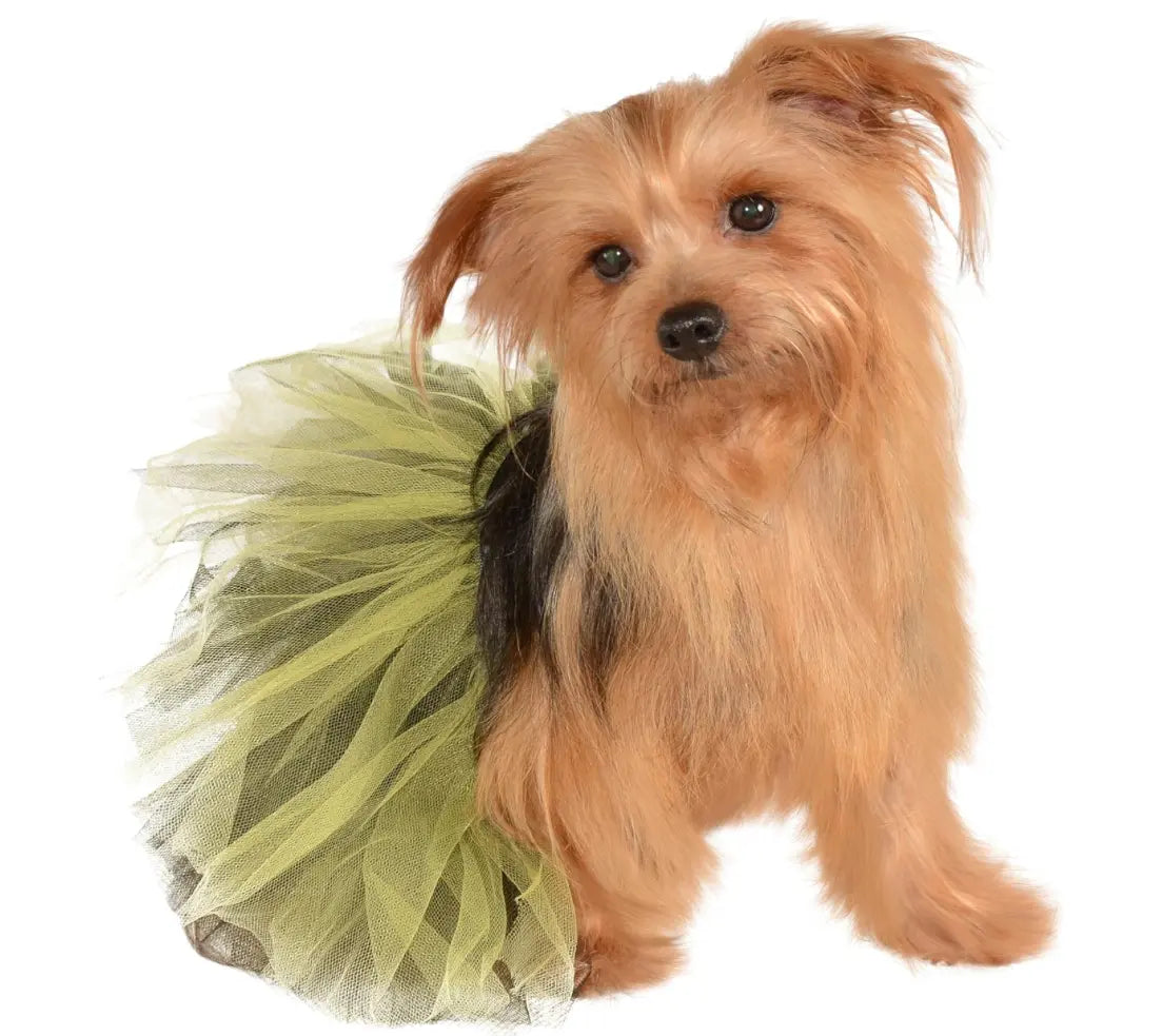 Black & Gold Pet Tutu Rubies Costume Co