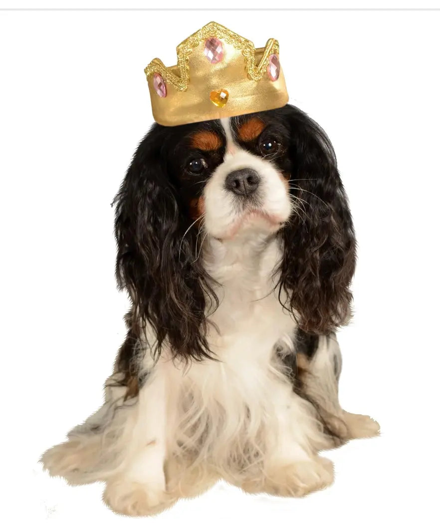 Pet Tiara With Stones Rubies Costume Co