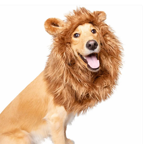 Lion Mane Dog Costume Pet Krewe