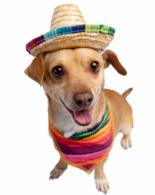 Sombrero and Serape Costume