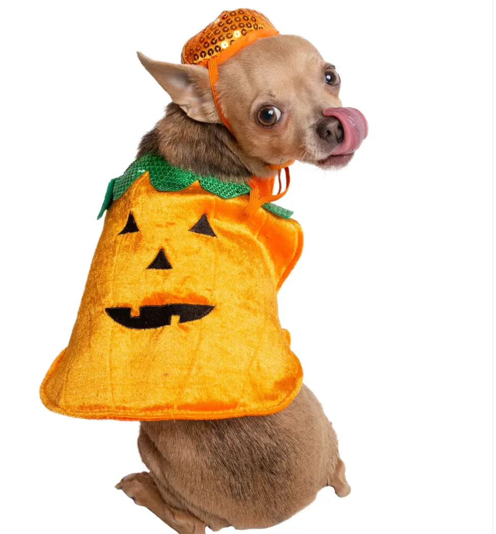 Halloween Pumpkin Dog Costume Pet Krewe