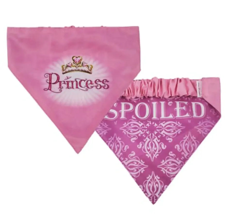 Two Sided Bandana - Princess Bandana Barkers Bowtique