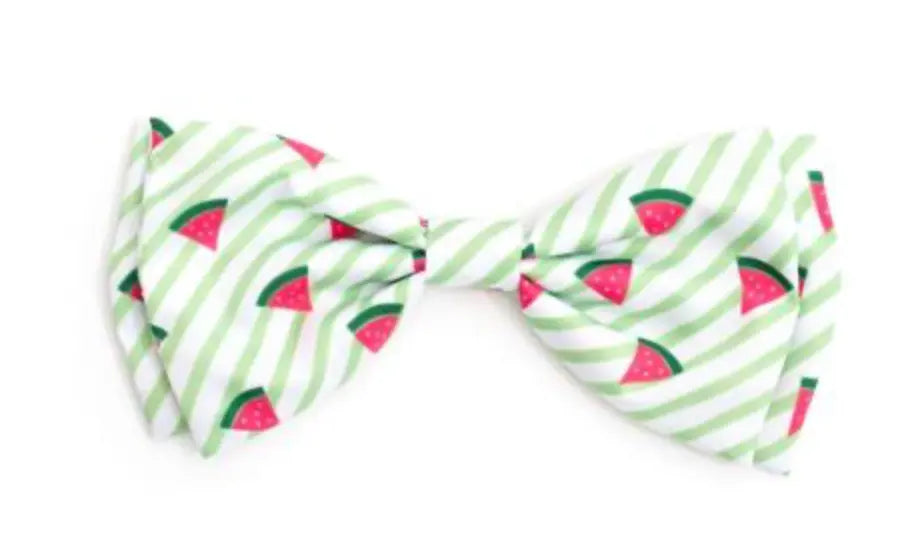 Green Stripe Watermelon Bow Tie The Worthy Dog