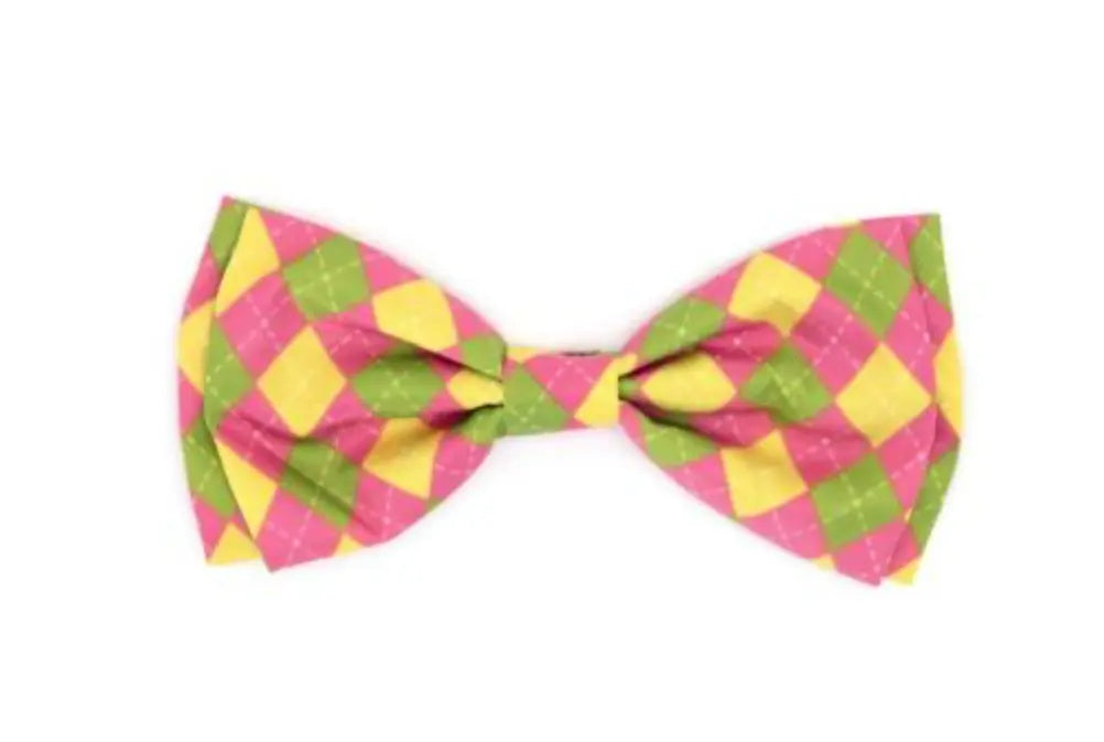Bright Argyle Bow Tie The Worthy Dog