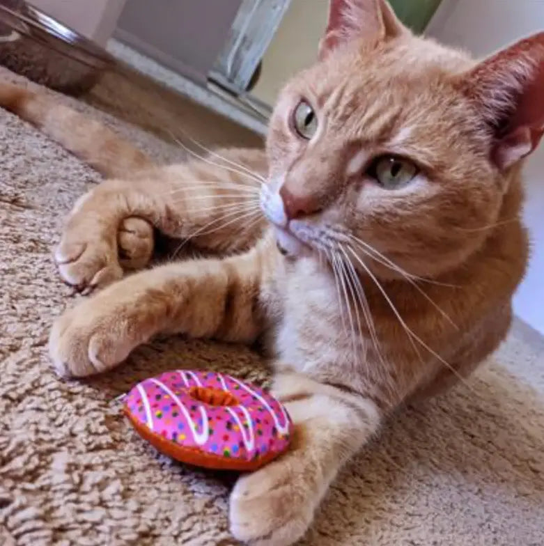 Strawberry Donut Plush Cat Toy Huxley & Kent LLC
