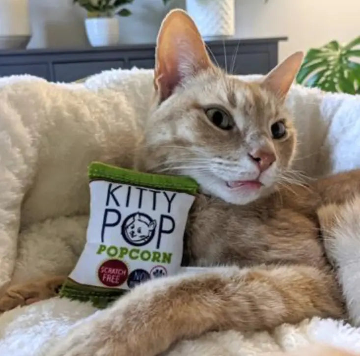 Kitty Pop Plush Cat Toy Huxley & Kent LLC
