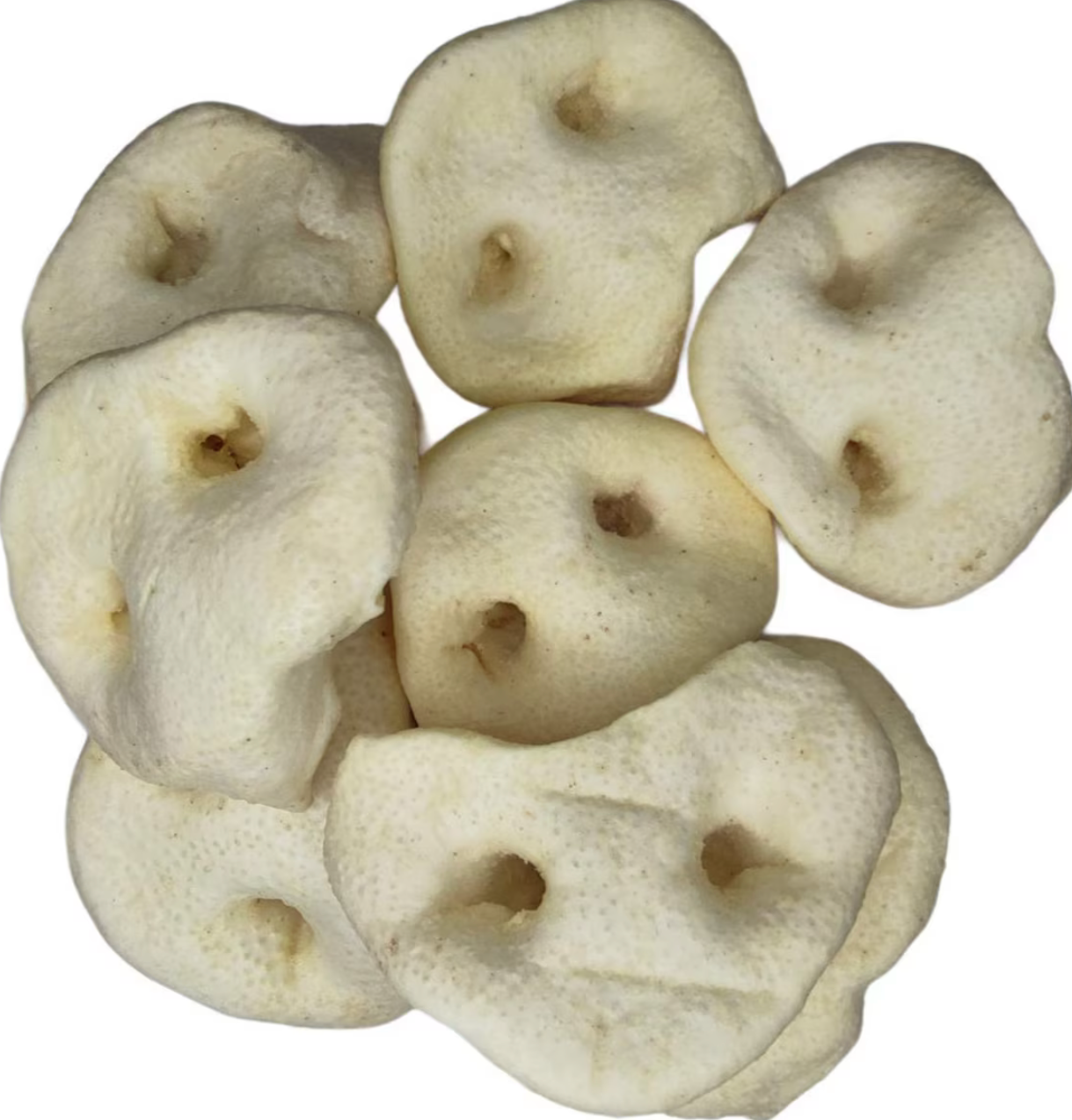 Pig Snout Puffed dog treat