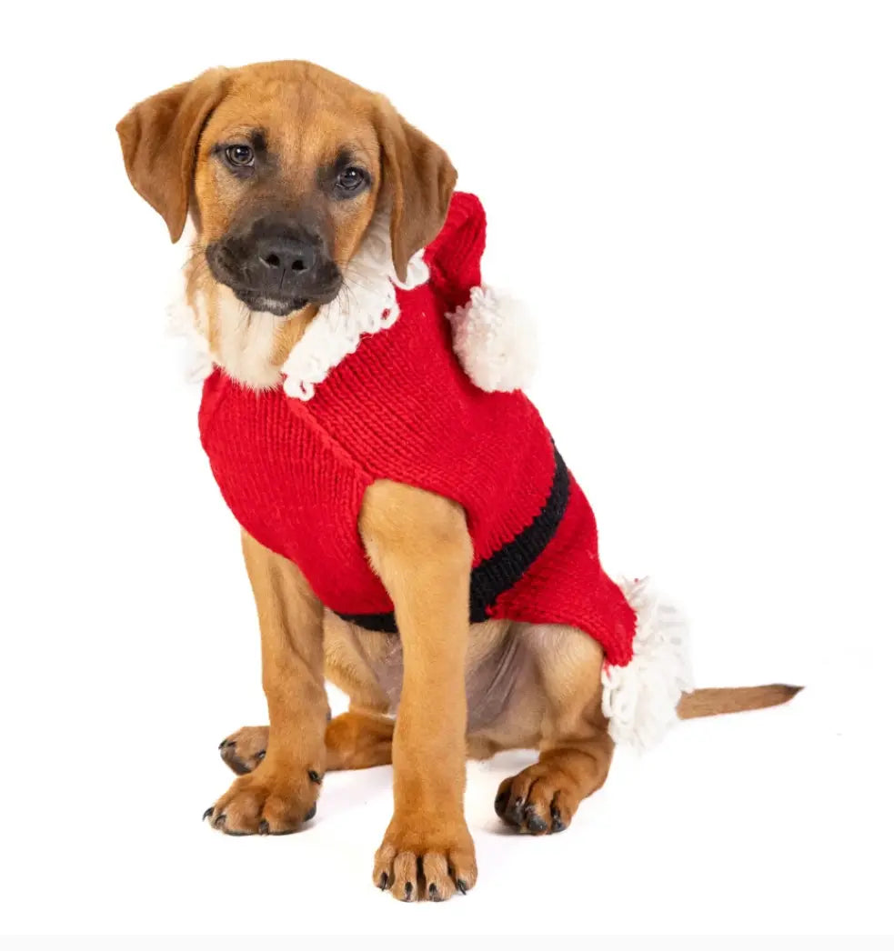 Santa Dog Sweater