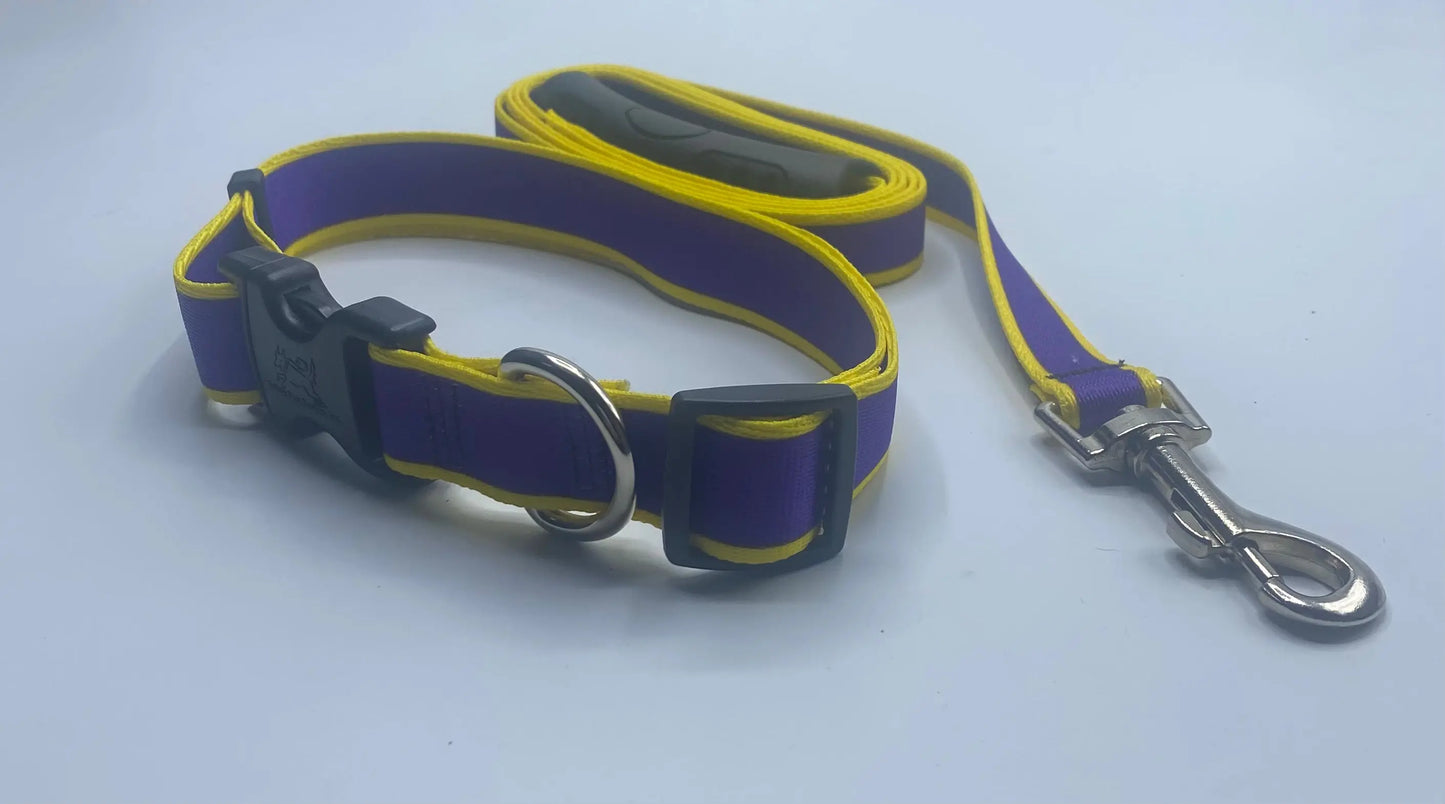 Purple & Yellow Striped Sterling Dog Collar/Lead Collection.