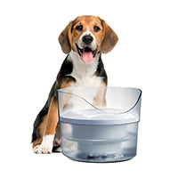 Zeus Fresh & Clear FTN w/Splash Guard Pet Water Fountain.