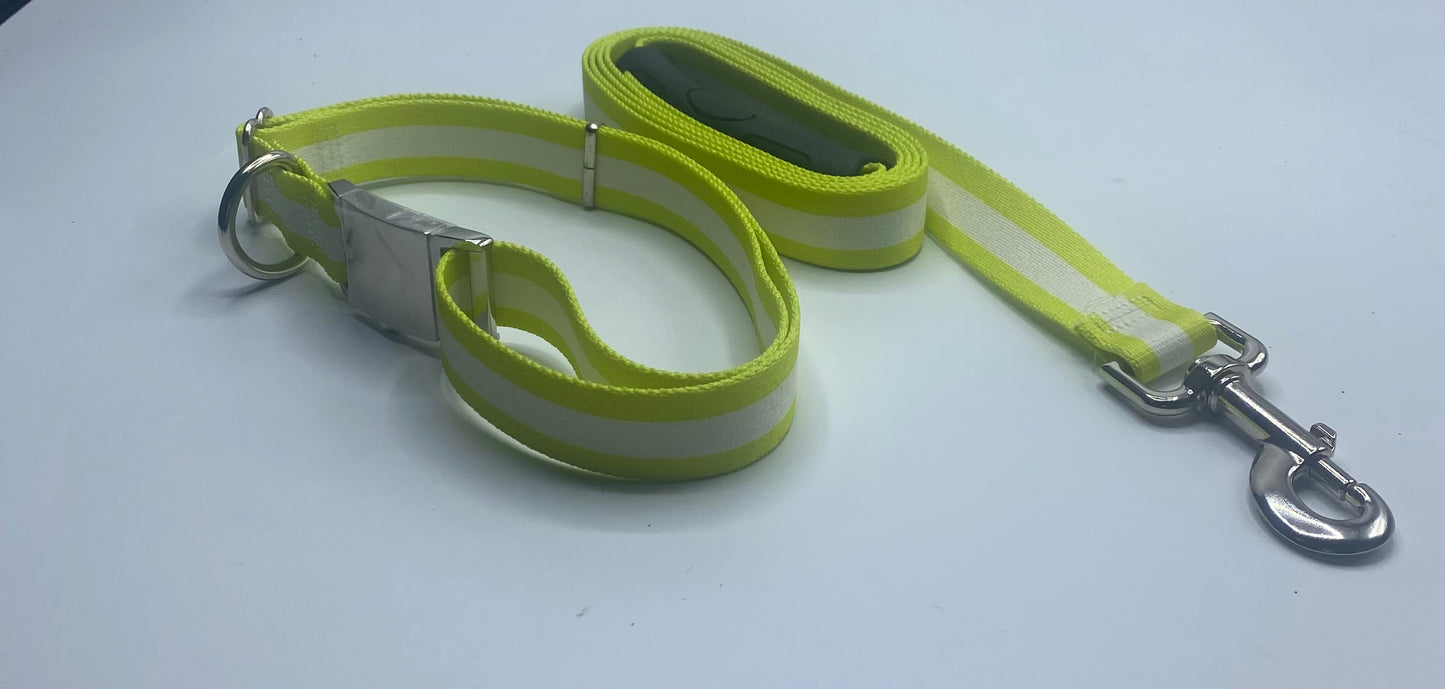 White & Yellow Striped Sterling Dog Collar/Lead Collection.