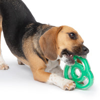 Zeus Duo Ninja Star, (5in), Green, Mint Dog Toy.
