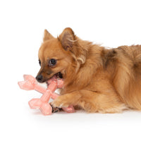 Zeus Duo Cross Bones (6in) Coral Chicken Dog Toy.