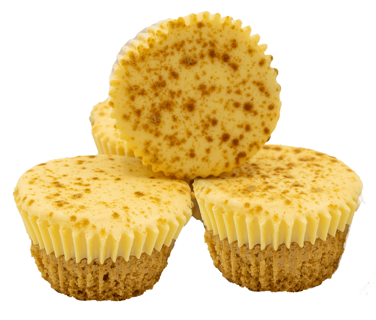 Crème Brulee Dog Treat.