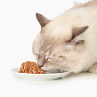 Catit Fish Cat Food Dinner with Tilapia & Potato - 80 g (2.8 oz)