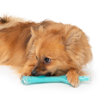 Zeus Duo Stick, (9in) Turquoise, Chicken Dog Toy