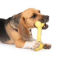 Zeus Duo Bone, (7in), Yellow, Coconut Dog Toy