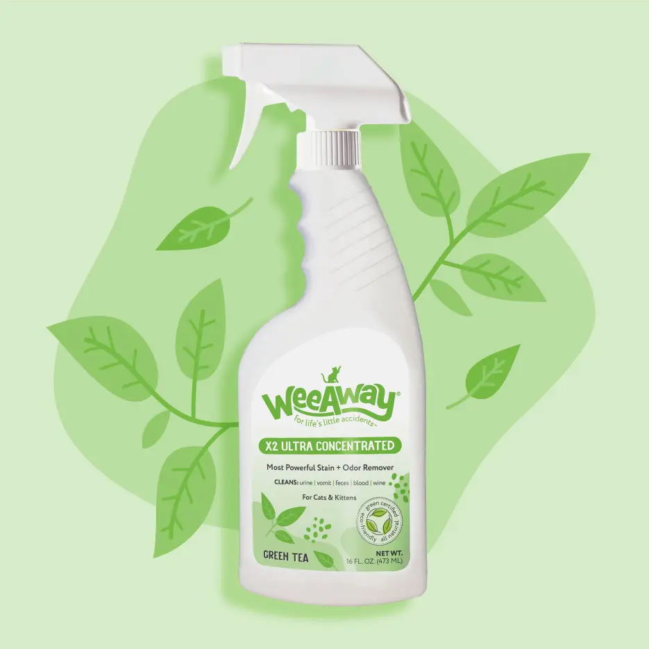 X2 Stain & Odor for Cats & Kittens, Ocean Breeze Scent 16 oz.