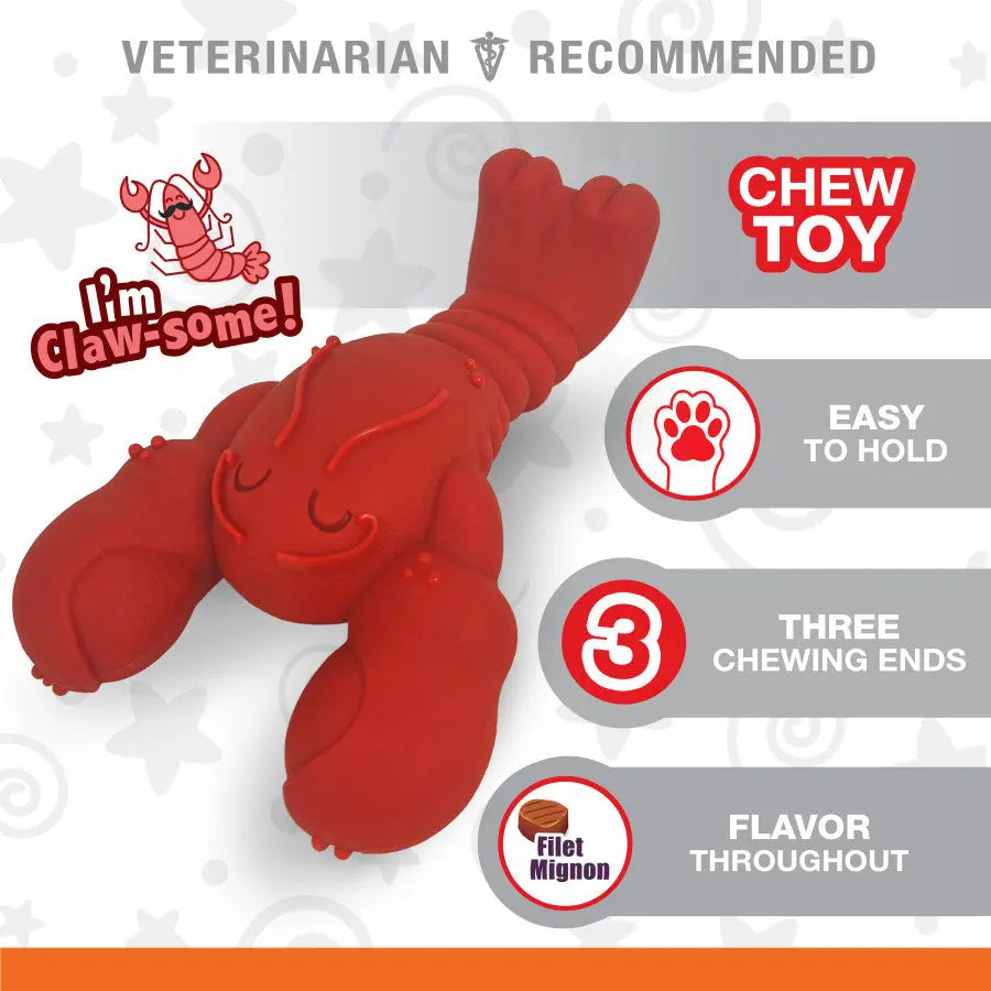 Nylabone Power Chew Lobster Dog Toy Petrageous Designs