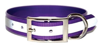 SunGlo Collars.