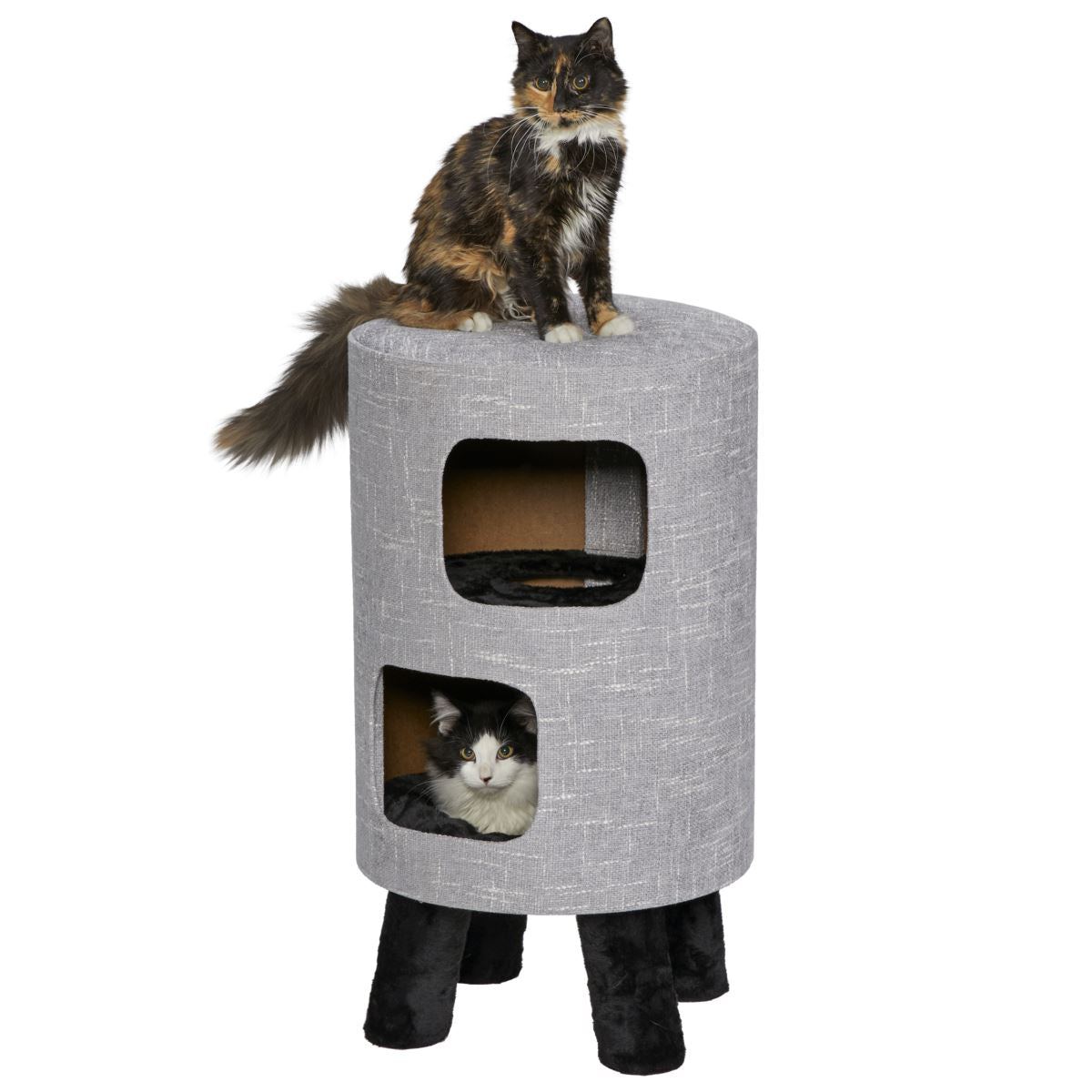 Feline Nuvo Cosmo.