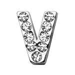 Rhinestone Letters Sliding Collar 3/4" (18 MM) Charms.