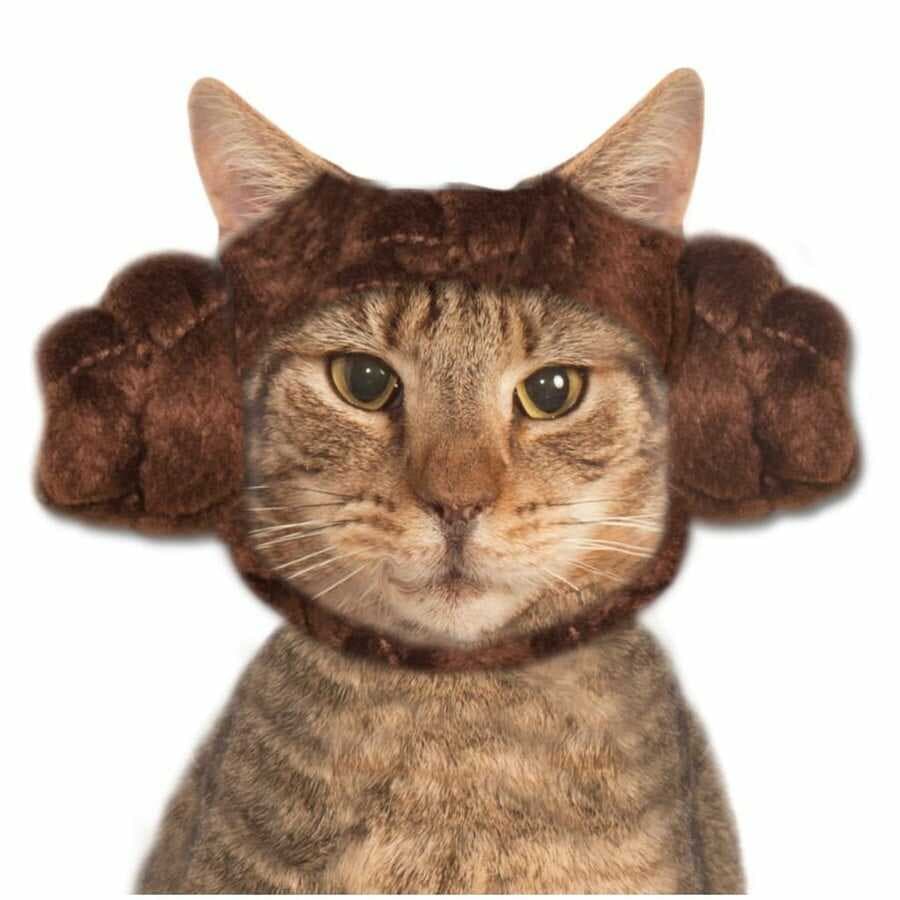 chewbacca cat