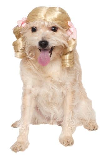 Cheerleader Wig.