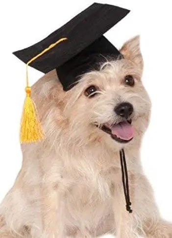 Black Graduation Hat.