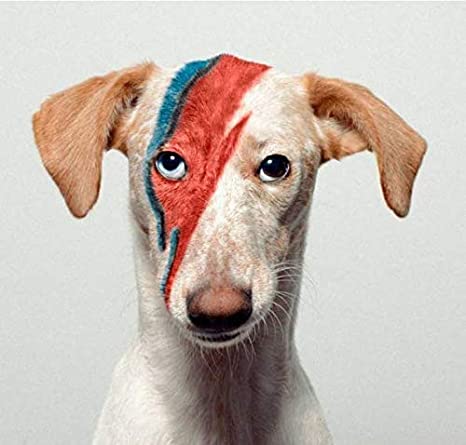 Service (Chalk Color).