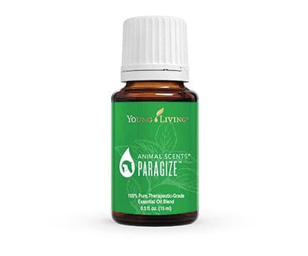 Animal Scents - ParaGize.