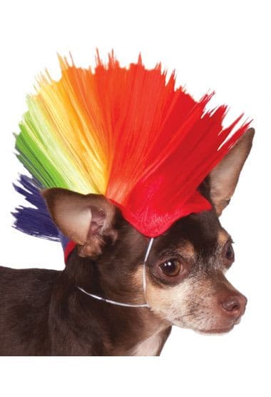 Rainbow Mohawk.