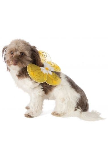 Bumble Bee Wings.