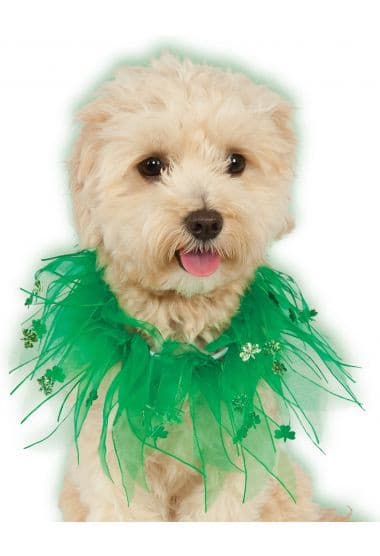 St. Patricks Organza Collar.