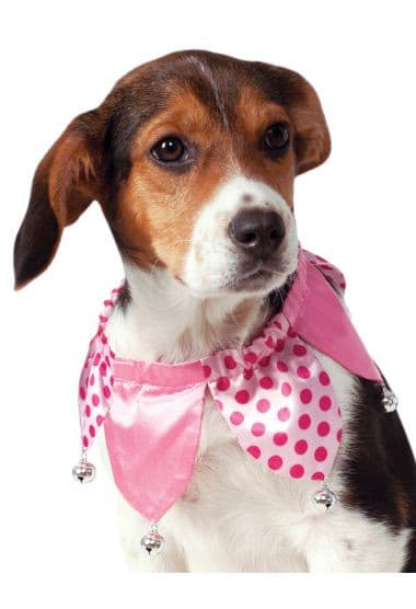 Pink Jester Collar.