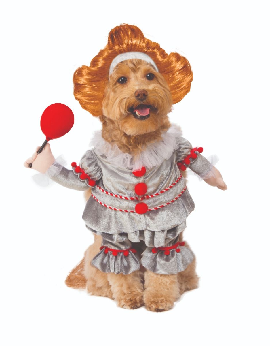 Walking Pennywise Pet Costume.
