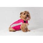 Thundershirt Sport or Polo.